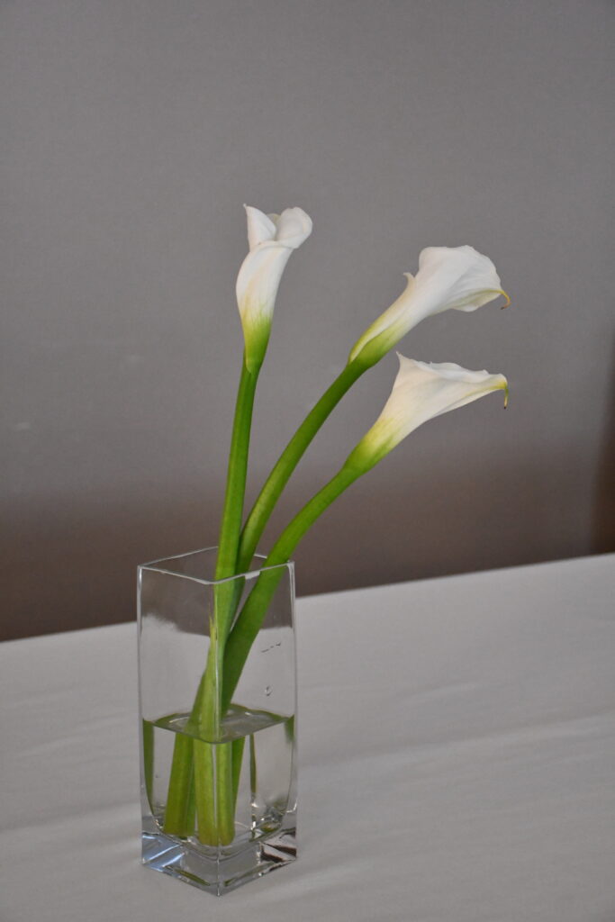 白い花を生けた会場装飾